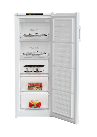 ELEKTRA BREGENZ Gefrierschrank